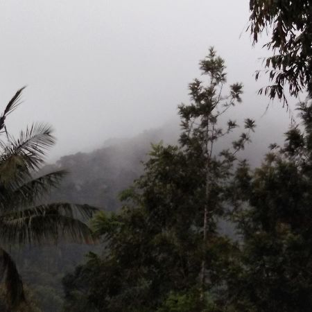 Bandekallu Homestay Chikmagalūr Exteriér fotografie
