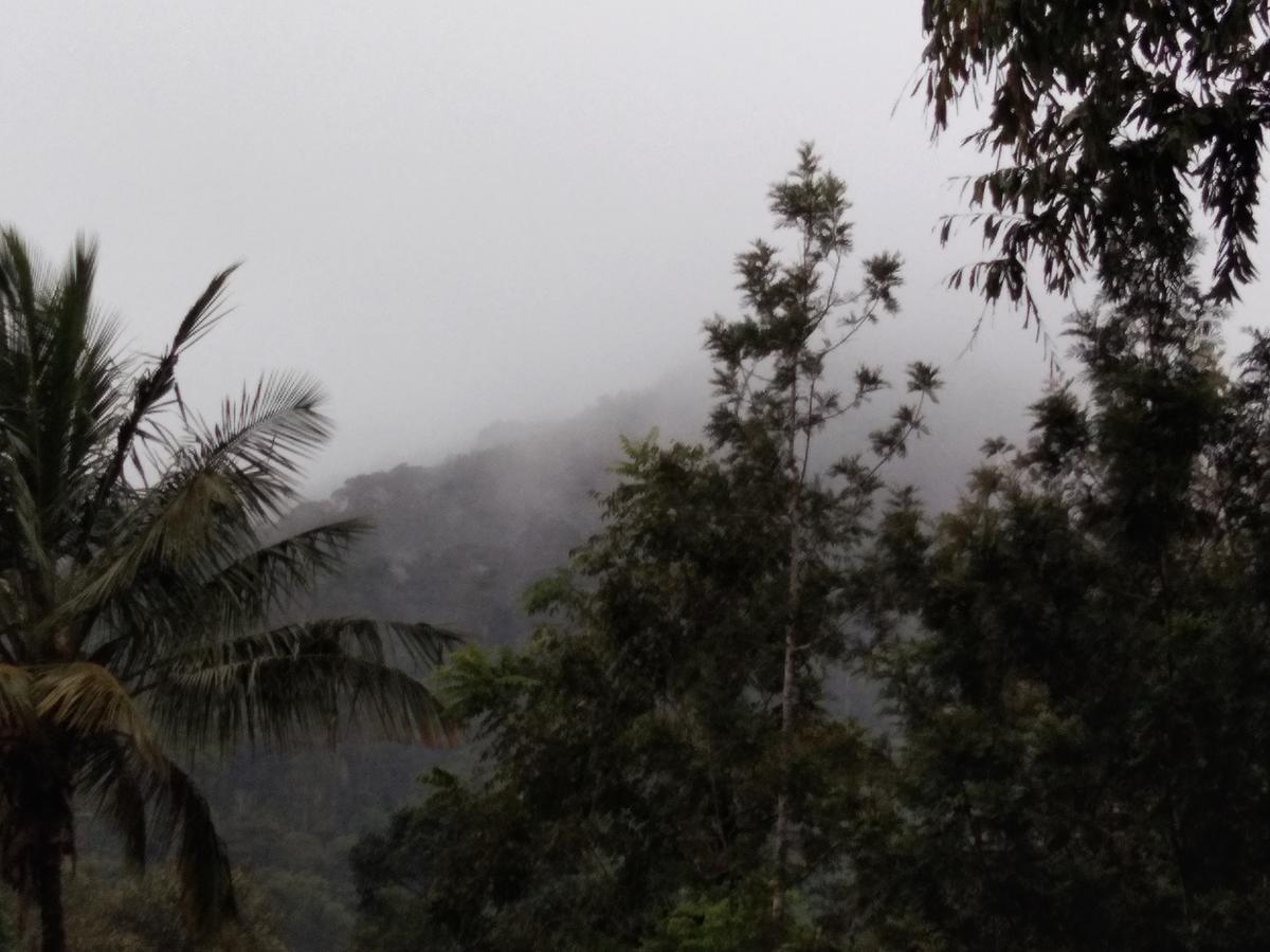 Bandekallu Homestay Chikmagalūr Exteriér fotografie
